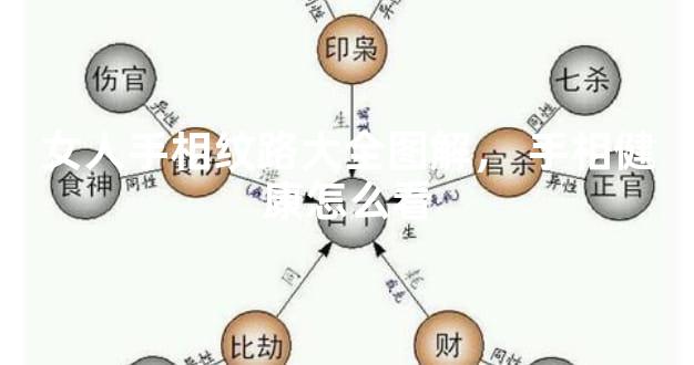 女人手相纹路大全图解，手相健康怎么看